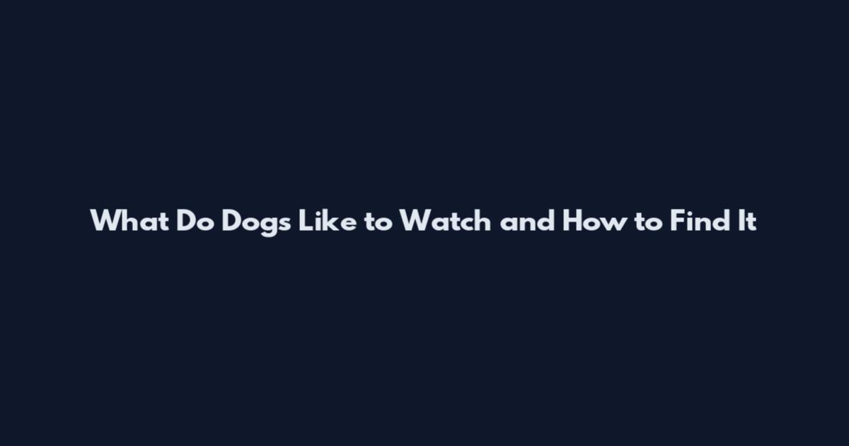 What Do Dogs Like to Watch and How to Find It