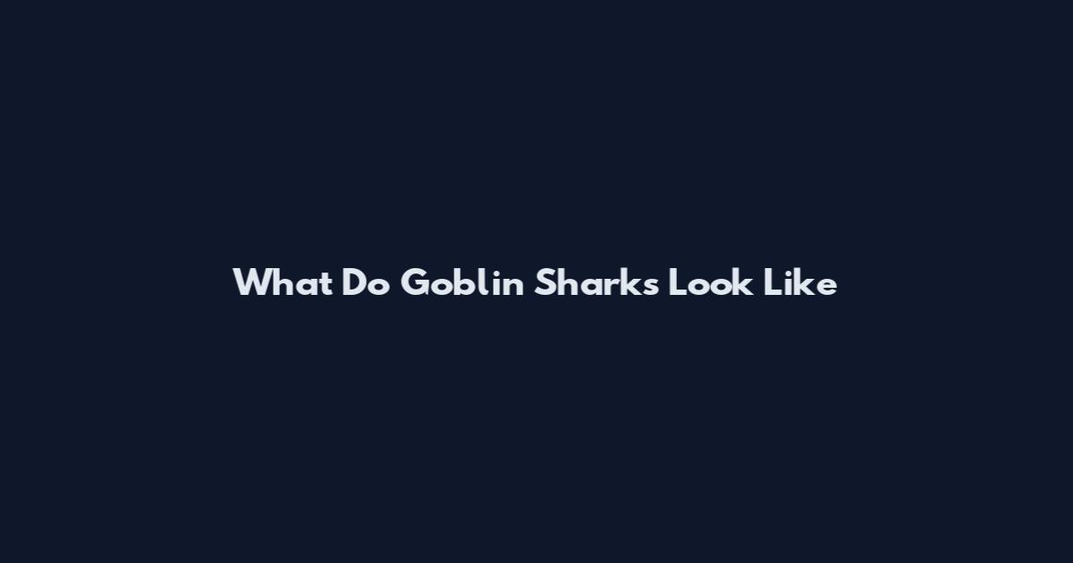 What Do Goblin Sharks Look Like