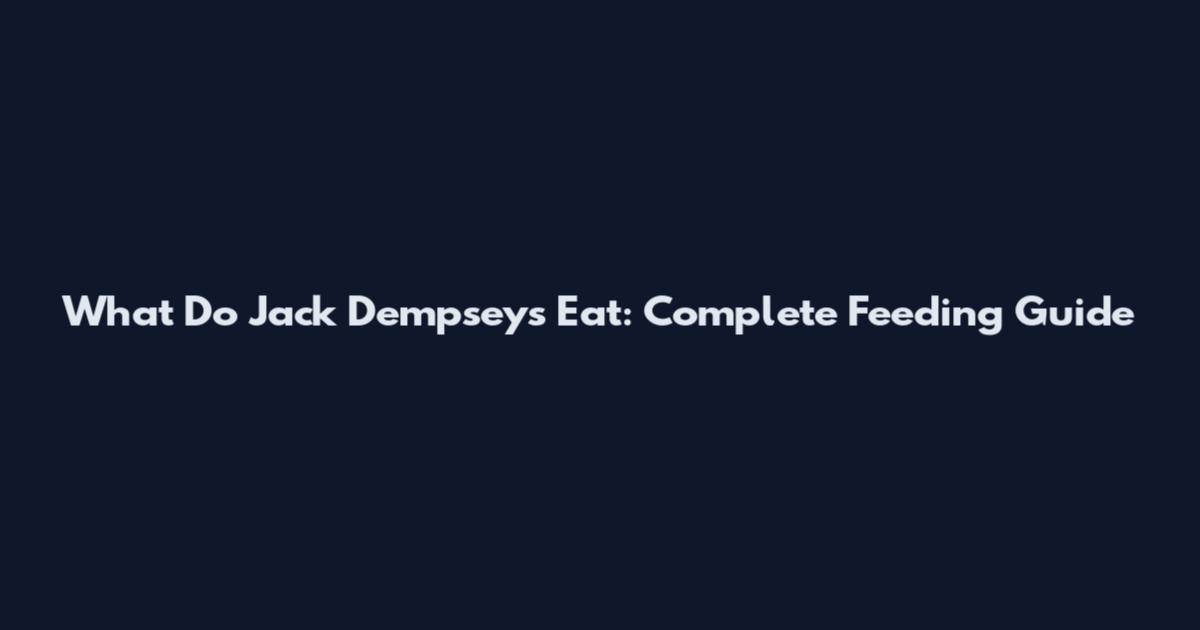 What Do Jack Dempseys Eat: Complete Feeding Guide