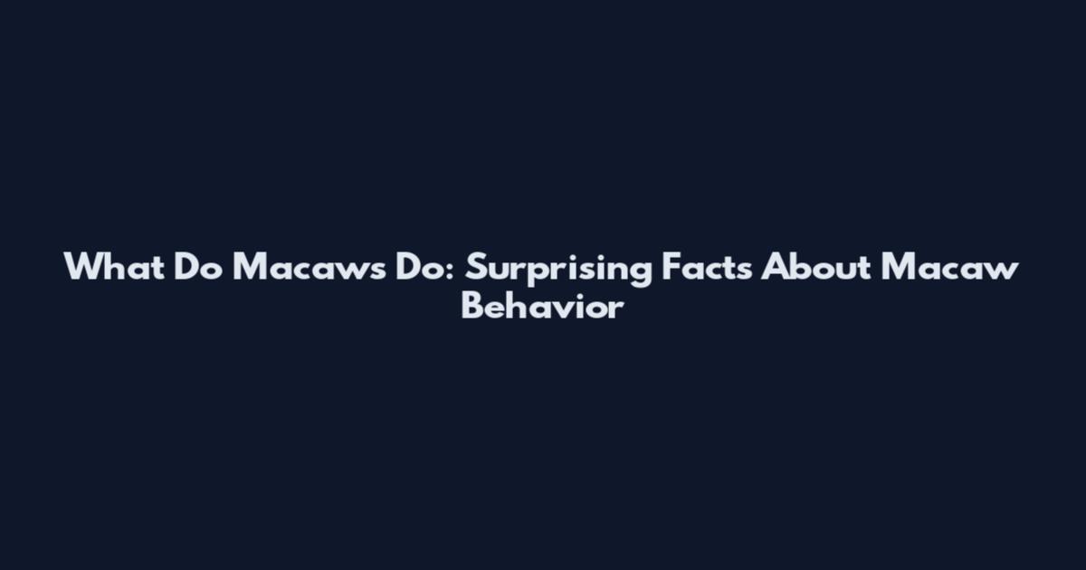 What Do Macaws Do: Surprising Facts About Macaw Behavior
