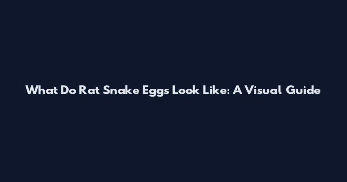 What Do Rat Snake Eggs Look Like: A Visual Guide