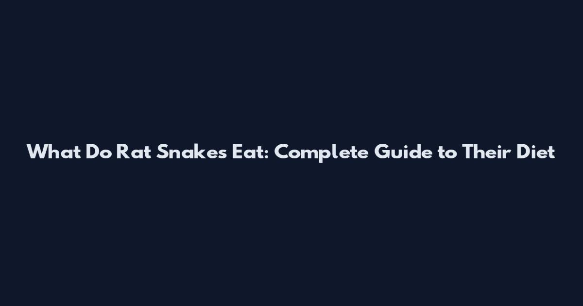 What Do Rat Snakes Eat: Complete Guide to Their Diet