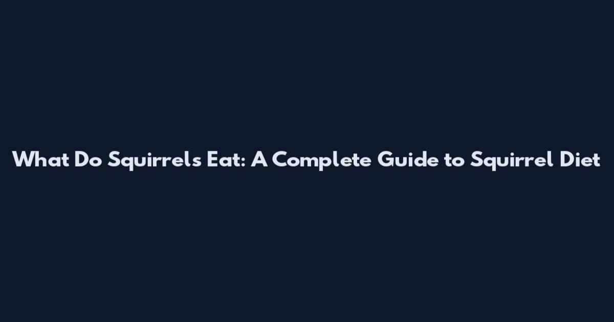 What Do Squirrels Eat: A Complete Guide to Squirrel Diet