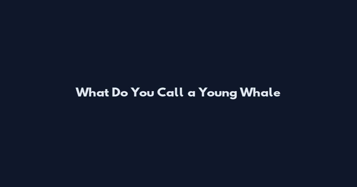 What Do You Call a Young Whale