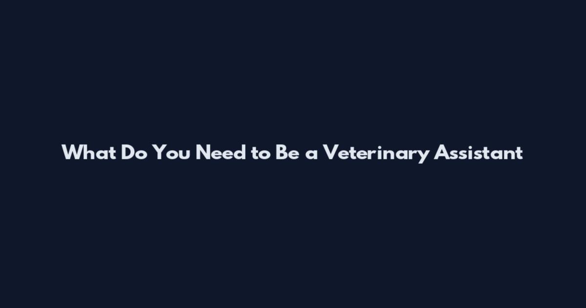 What Do You Need to Be a Veterinary Assistant