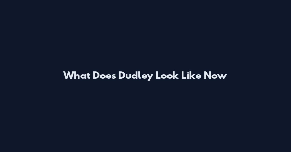 What Does Dudley Look Like Now