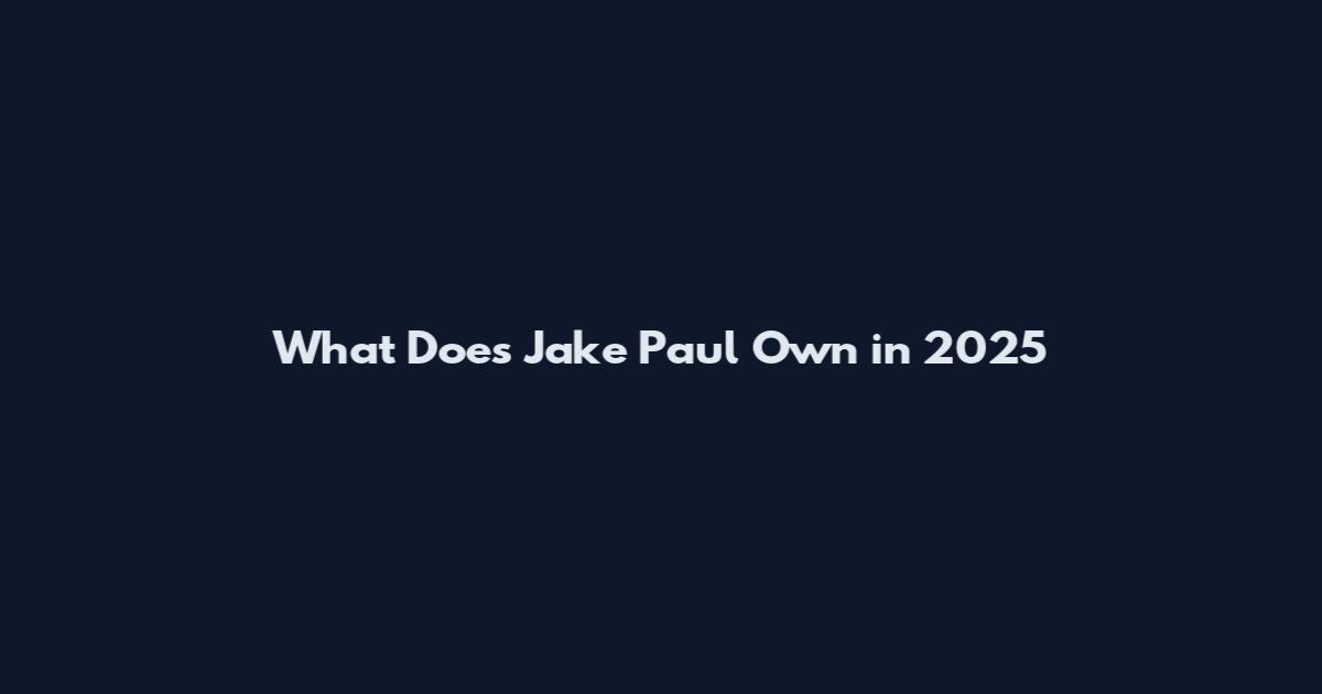 What Does Jake Paul Own in 2025