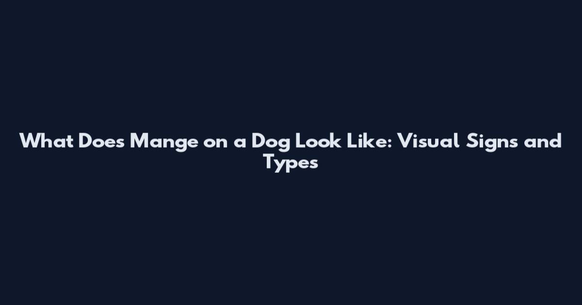 What Does Mange on a Dog Look Like: Visual Signs and Types