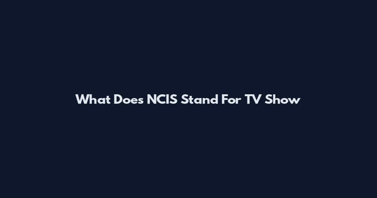 What Does NCIS Stand For TV Show
