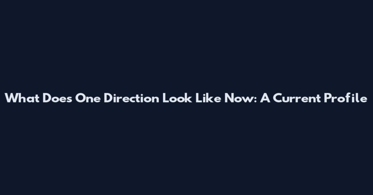 What Does One Direction Look Like Now: A Current Profile