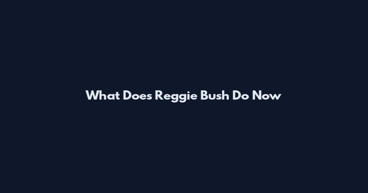 What Does Reggie Bush Do Now