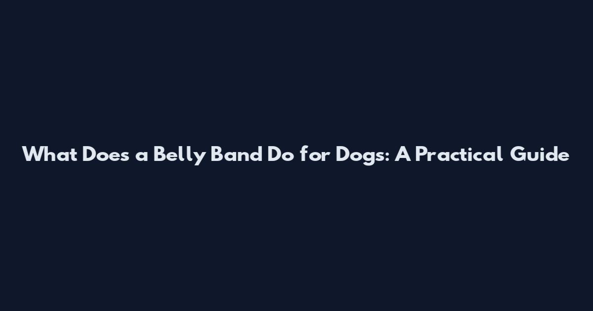 What Does a Belly Band Do for Dogs: A Practical Guide