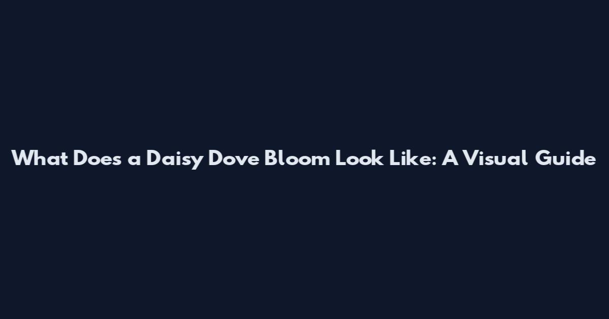 What Does a Daisy Dove Bloom Look Like: A Visual Guide