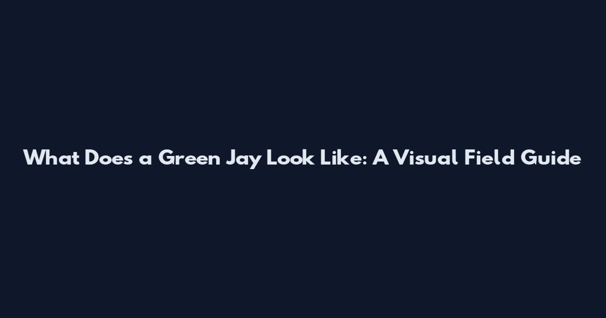 What Does a Green Jay Look Like: A Visual Field Guide