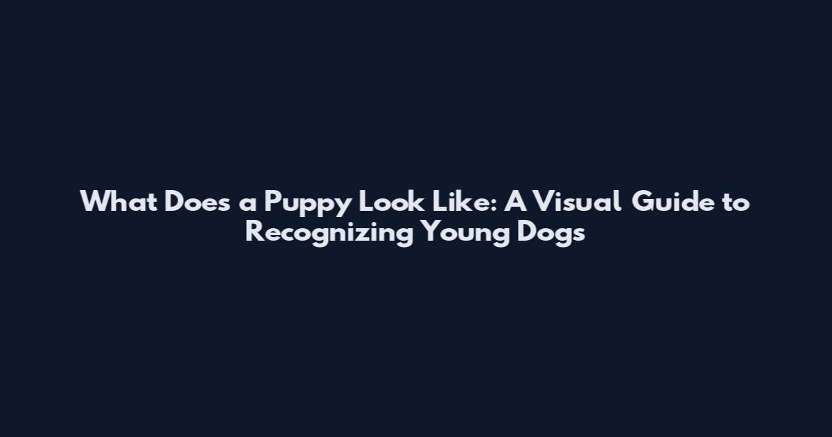 What Does a Puppy Look Like: A Visual Guide to Recognizing Young Dogs