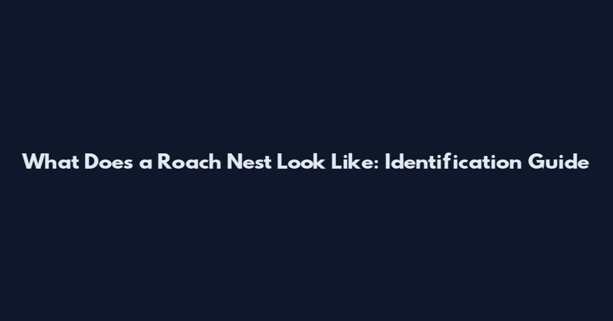 What Does a Roach Nest Look Like: Identification Guide