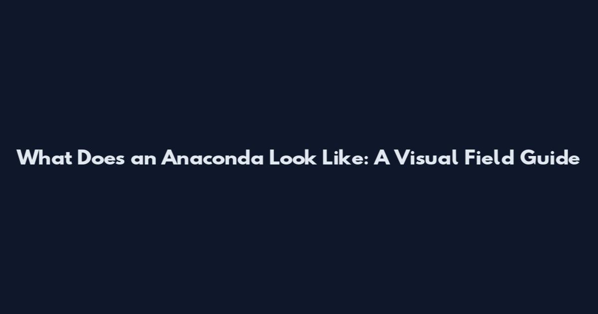 What Does an Anaconda Look Like: A Visual Field Guide