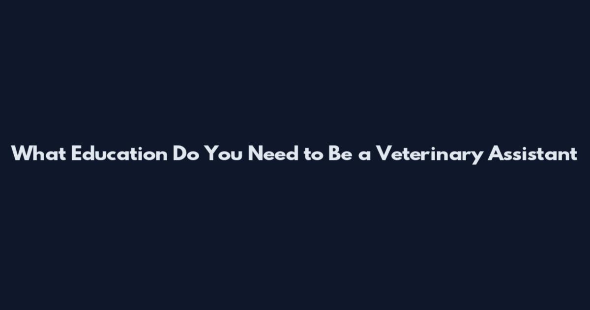 What Education Do You Need to Be a Veterinary Assistant