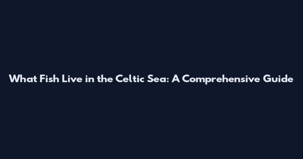 What Fish Live in the Celtic Sea: A Comprehensive Guide