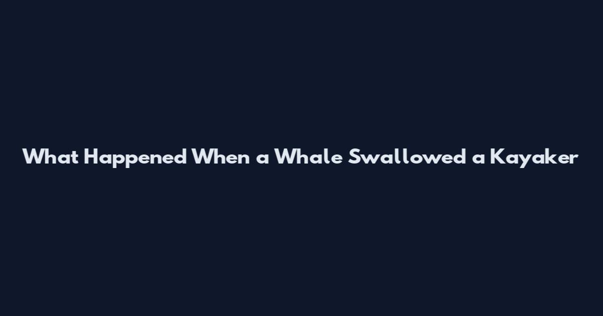 What Happened When a Whale Swallowed a Kayaker