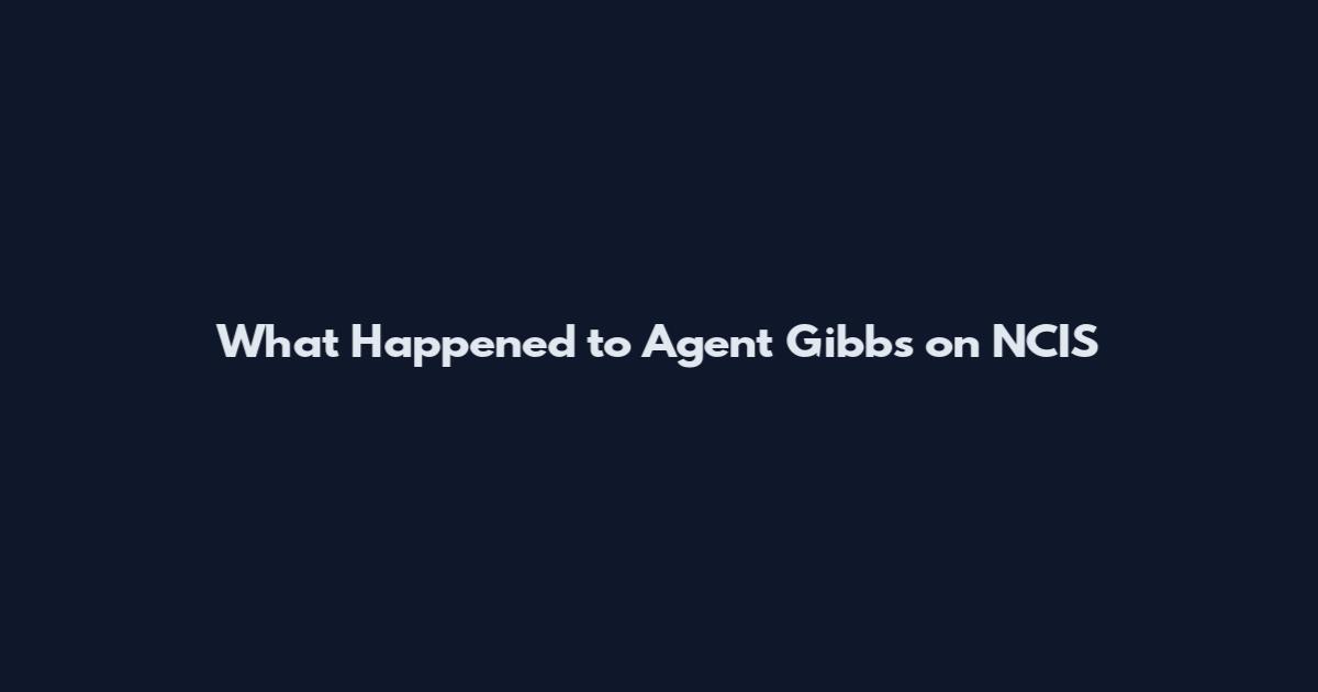 What Happened to Agent Gibbs on NCIS