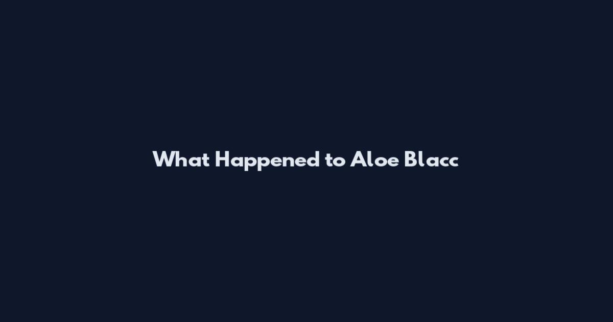 What Happened to Aloe Blacc