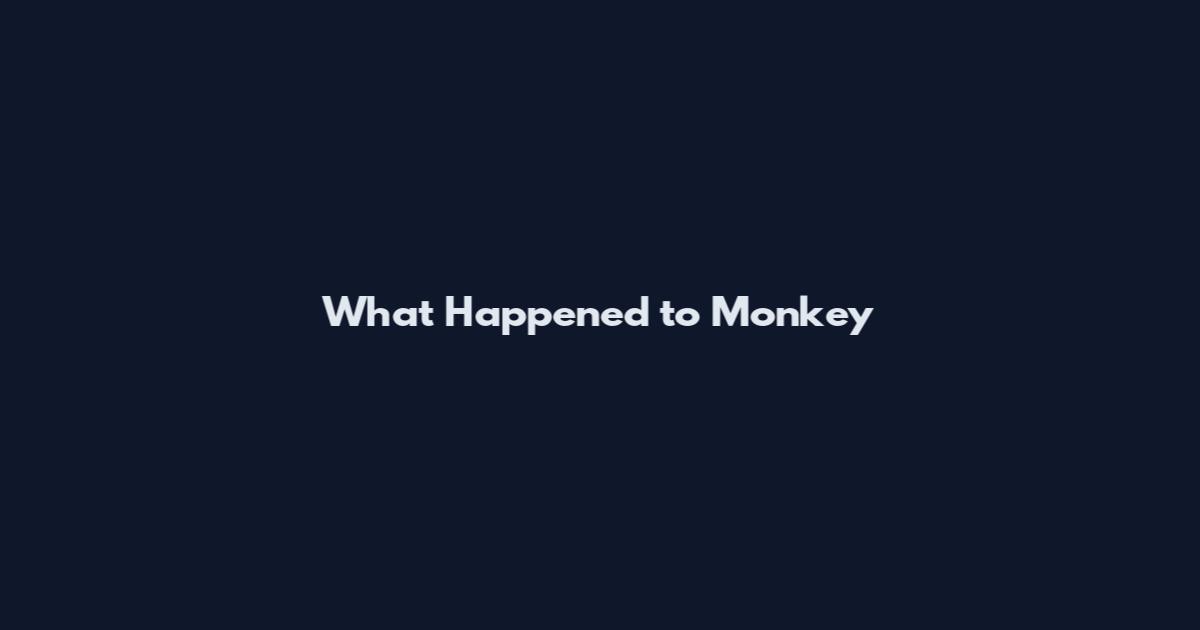 What Happened to Monkey