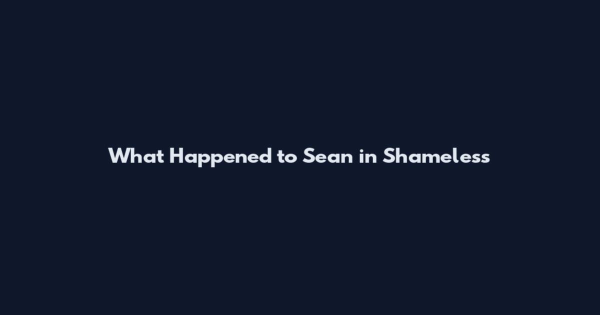 What Happened to Sean in Shameless