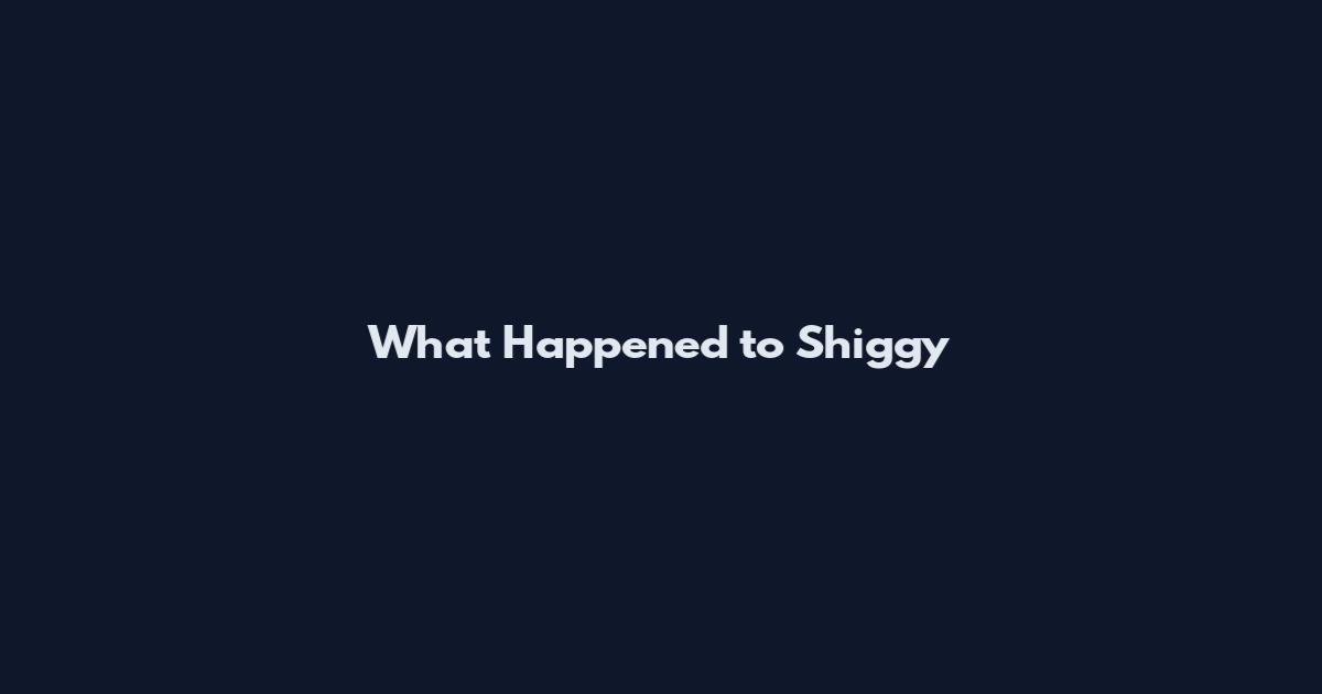 What Happened to Shiggy