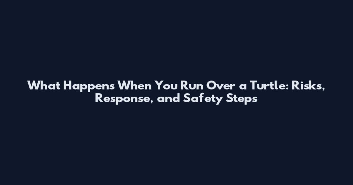 What Happens When You Run Over a Turtle: Risks, Response, and Safety Steps