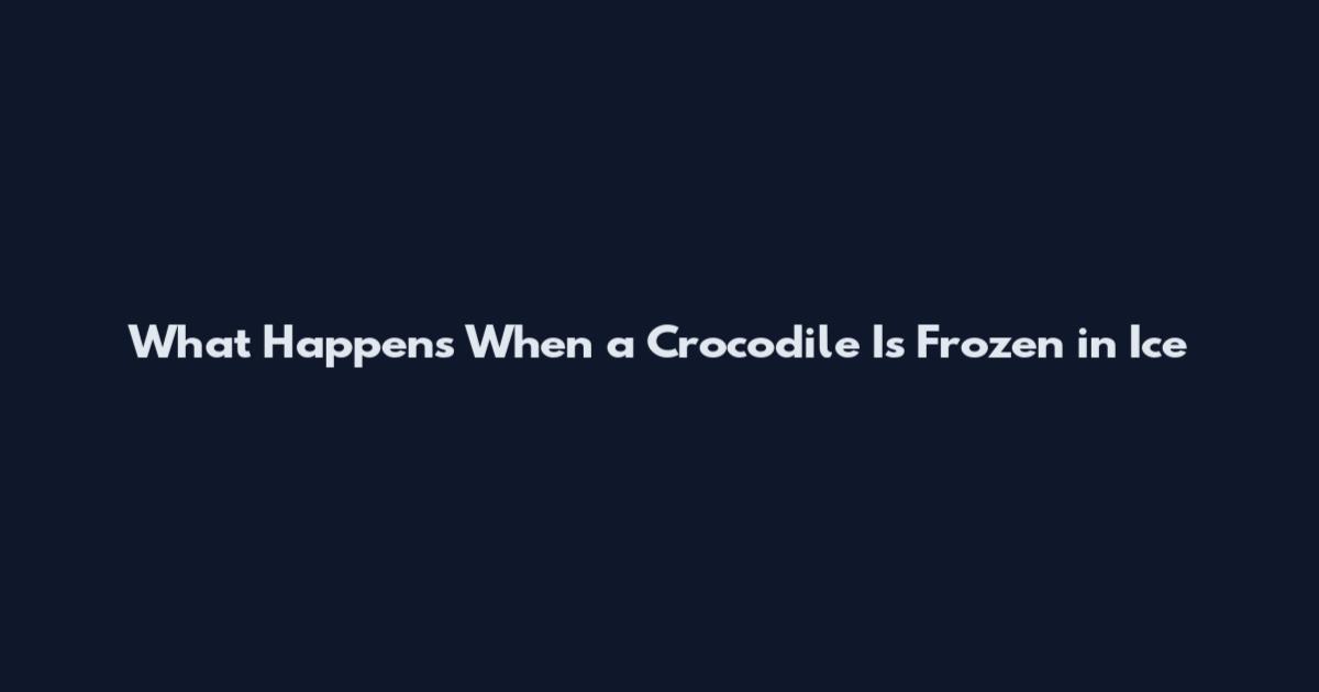 What Happens When a Crocodile Is Frozen in Ice