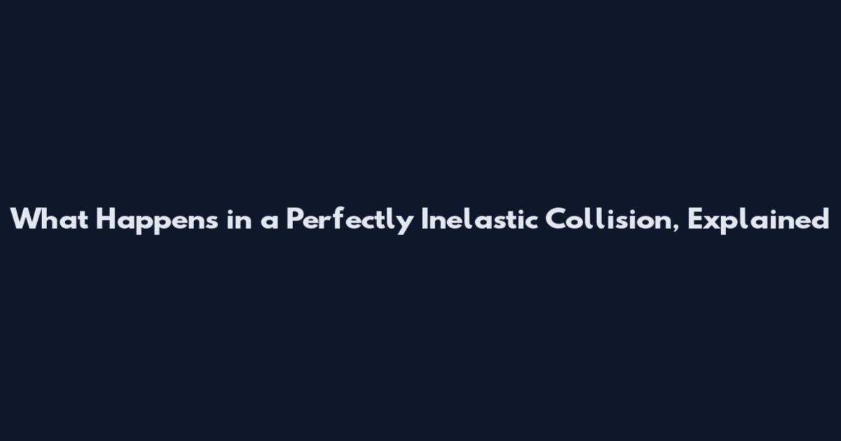 What Happens in a Perfectly Inelastic Collision, Explained