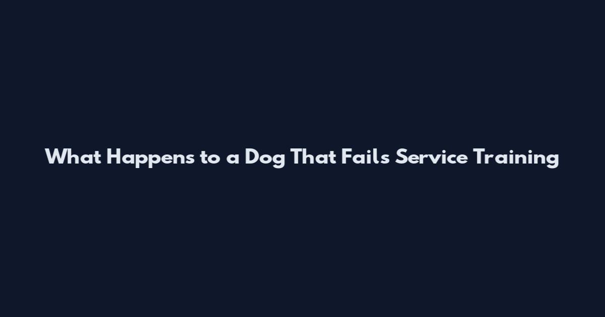 What Happens to a Dog That Fails Service Training