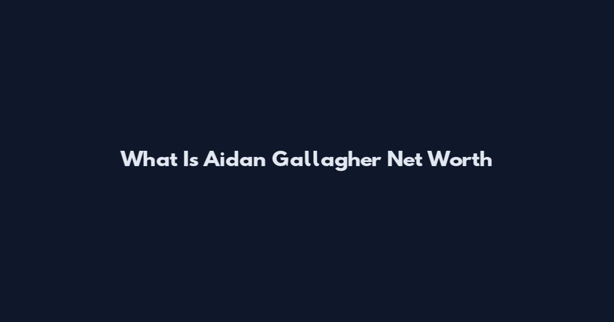 What Is Aidan Gallagher Net Worth