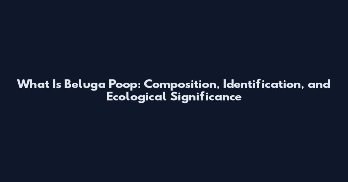 What Is Beluga Poop: Composition, Identification, and Ecological Significance