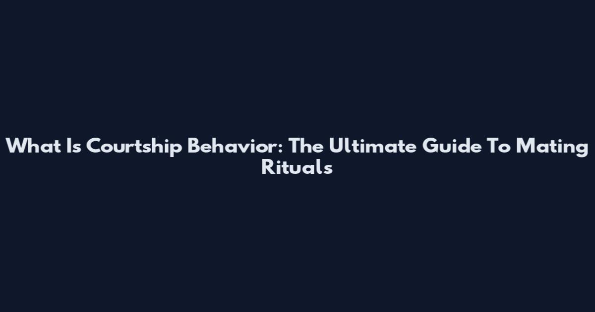 What Is Courtship Behavior: The Ultimate Guide To Mating Rituals