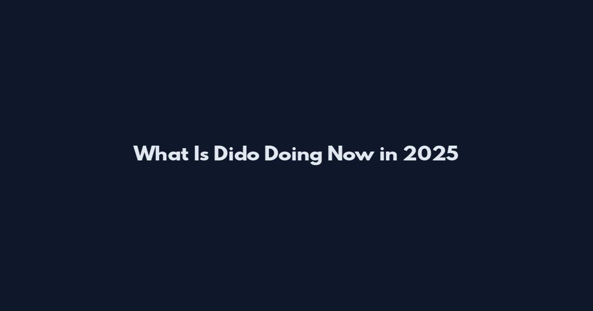 What Is Dido Doing Now in 2025