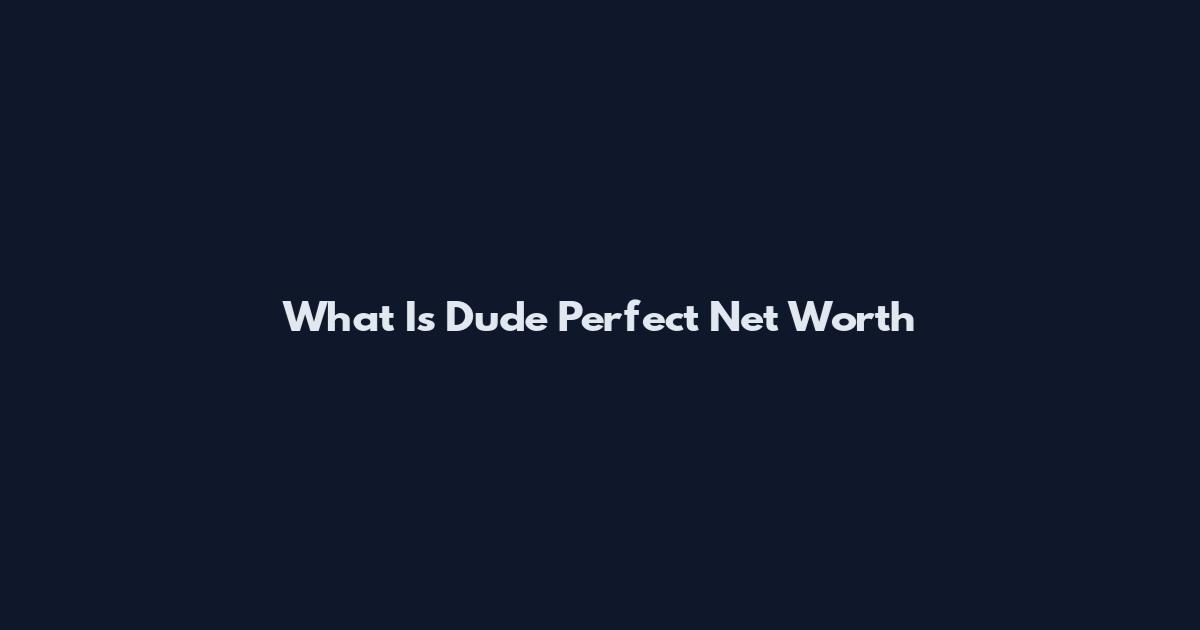What Is Dude Perfect Net Worth