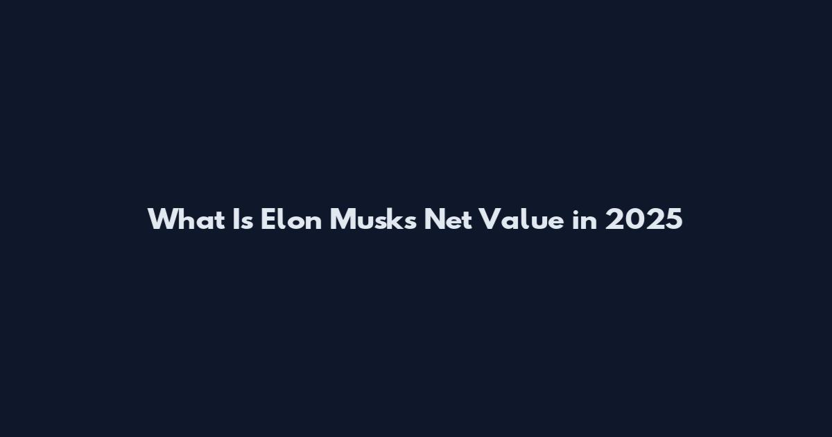 What Is Elon Musk's Net Value in 2025