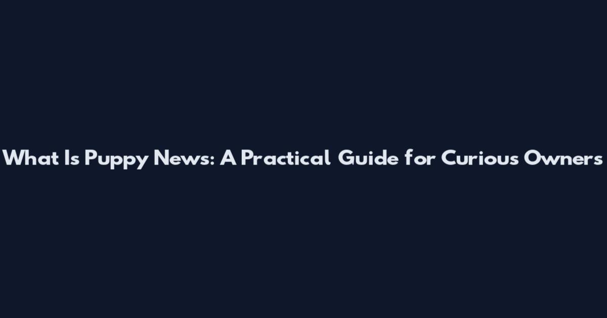 What Is Puppy News: A Practical Guide for Curious Owners
