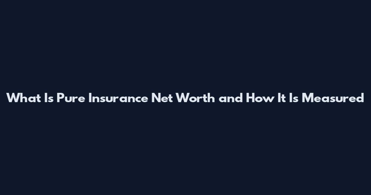 What Is Pure Insurance Net Worth and How It Is Measured