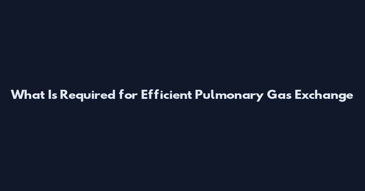 What Is Required for Efficient Pulmonary Gas Exchange