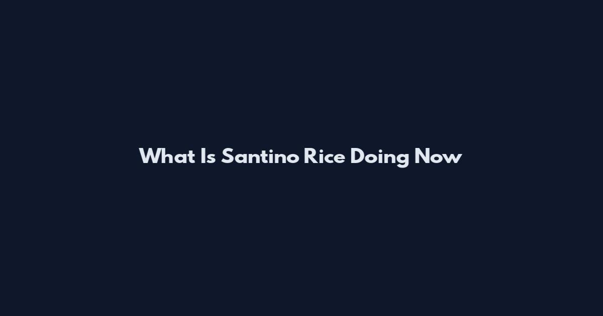 What Is Santino Rice Doing Now