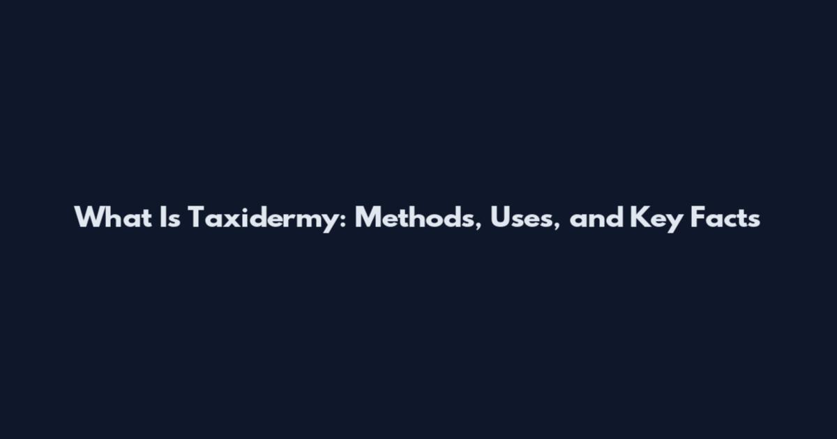 What Is Taxidermy: Methods, Uses, and Key Facts