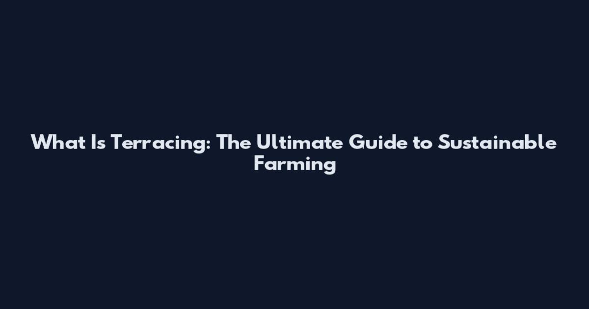 What Is Terracing: The Ultimate Guide to Sustainable Farming