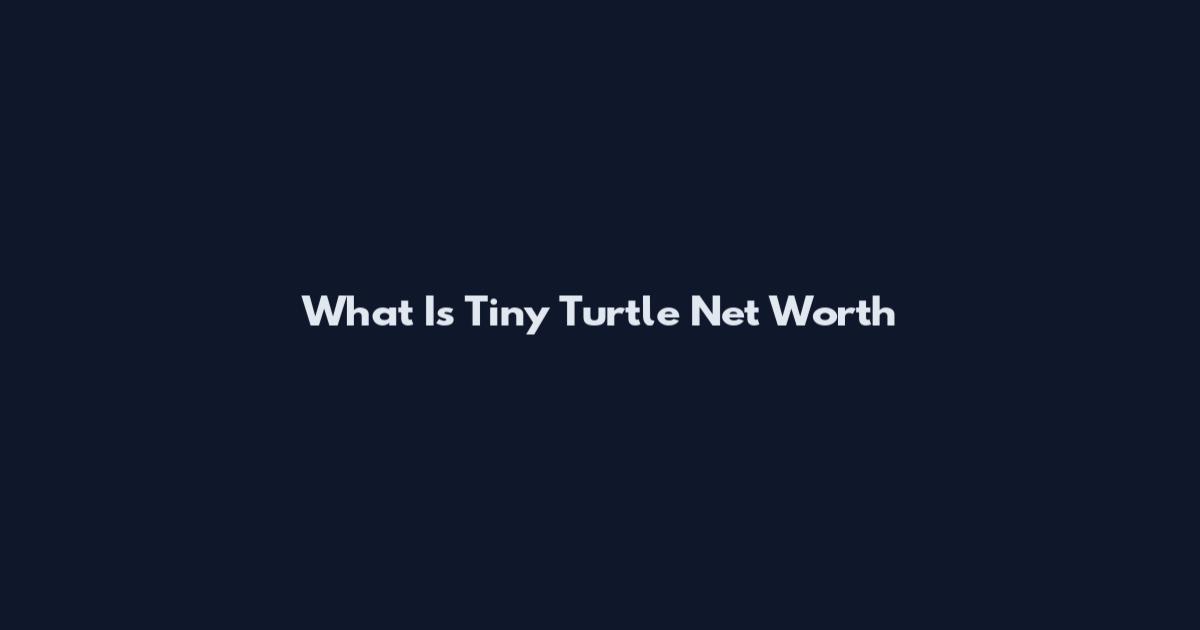 What Is Tiny Turtle Net Worth
