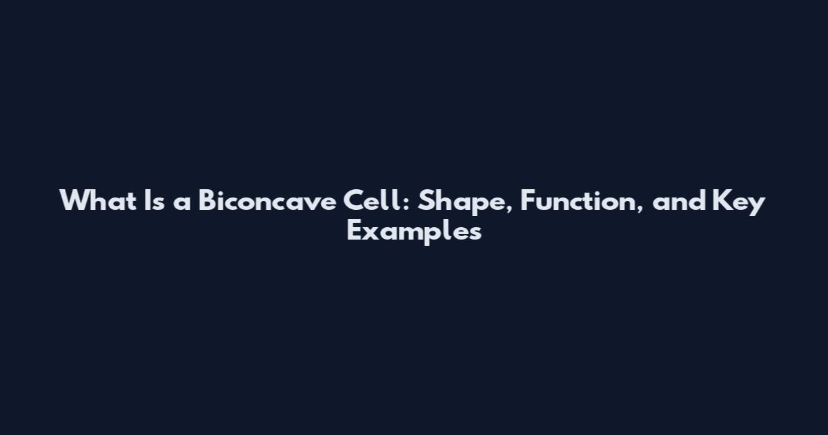 What Is a Biconcave Cell: Shape, Function, and Key Examples