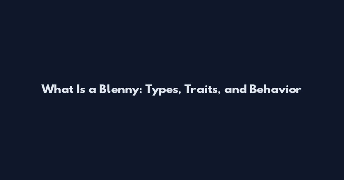 What Is a Blenny: Types, Traits, and Behavior