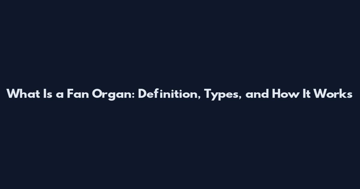 What Is a Fan Organ: Definition, Types, and How It Works