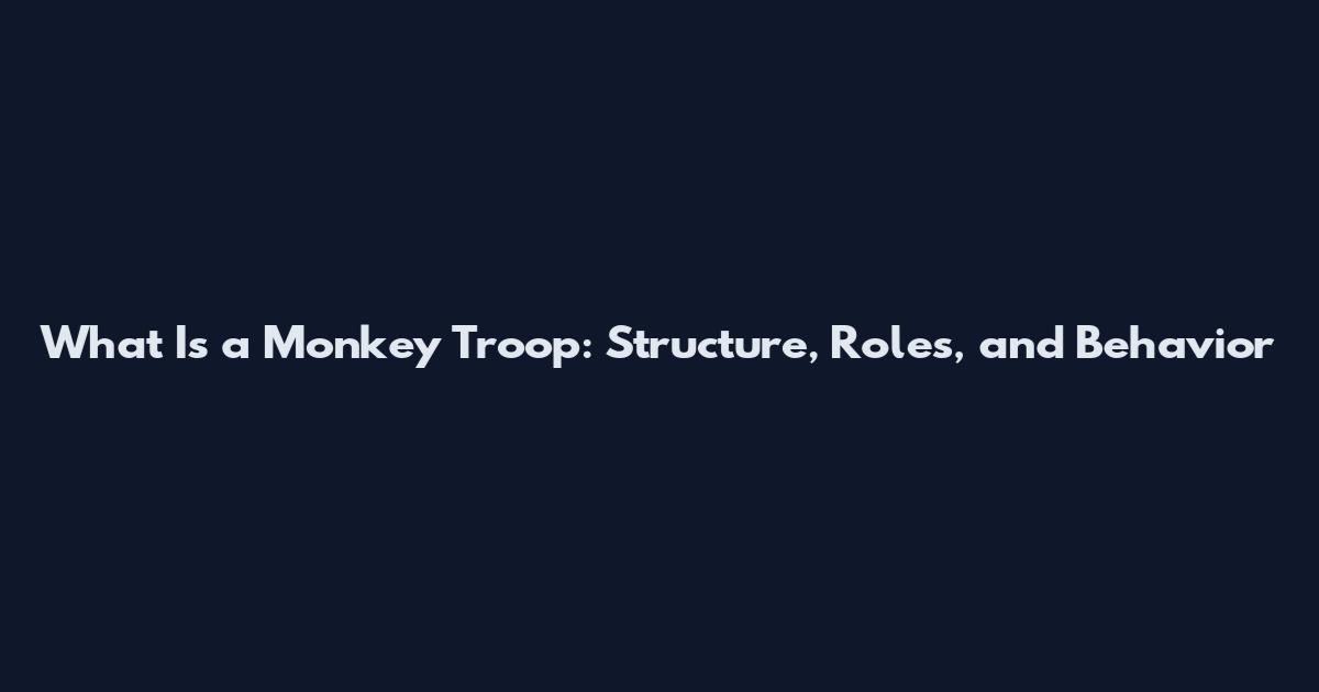 What Is a Monkey Troop: Structure, Roles, and Behavior